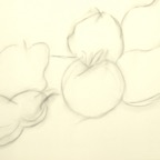 DSCF2528